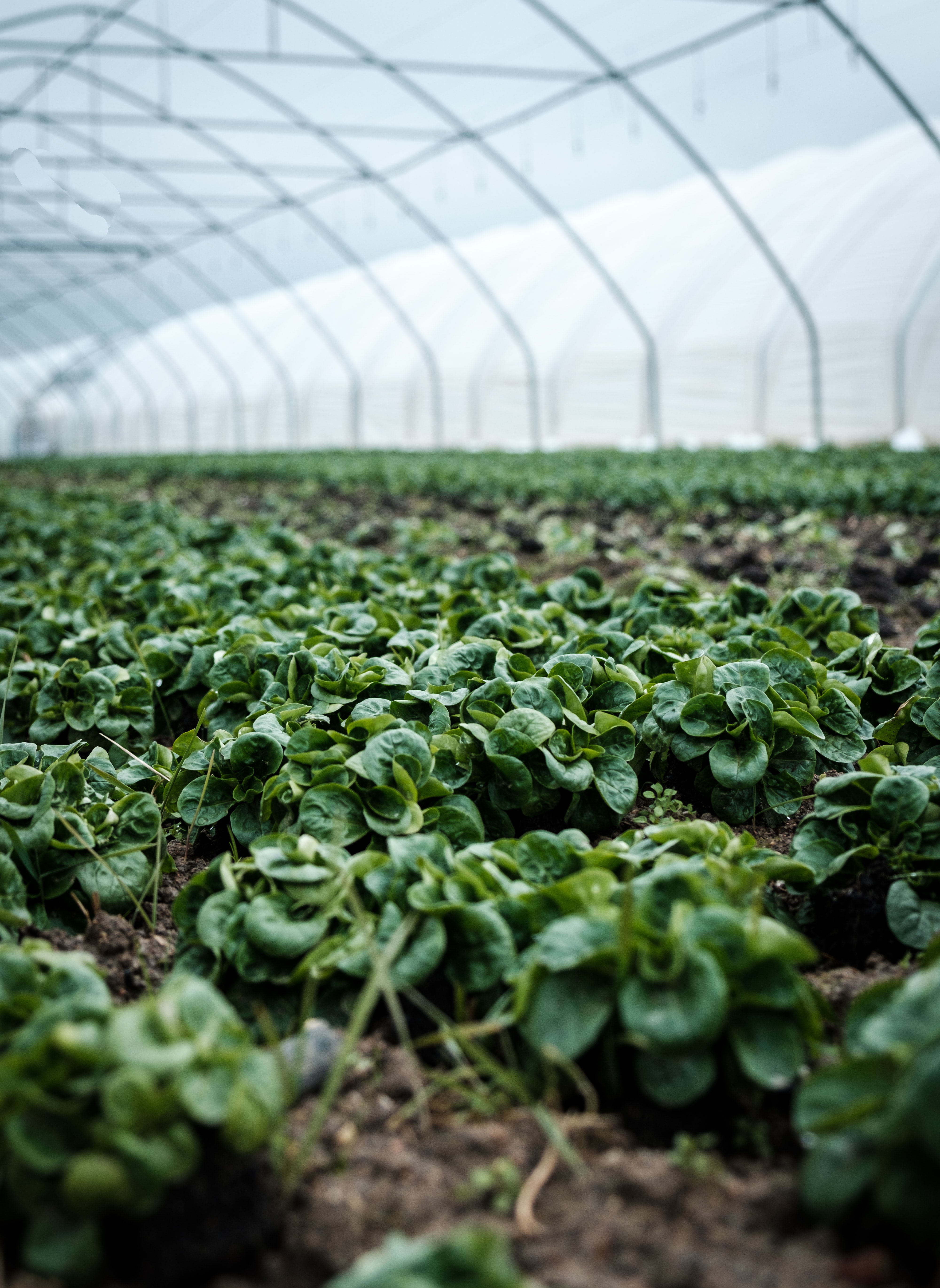 montagswiki-was-versteht-man-unter-digital-farming-ivalu-2023